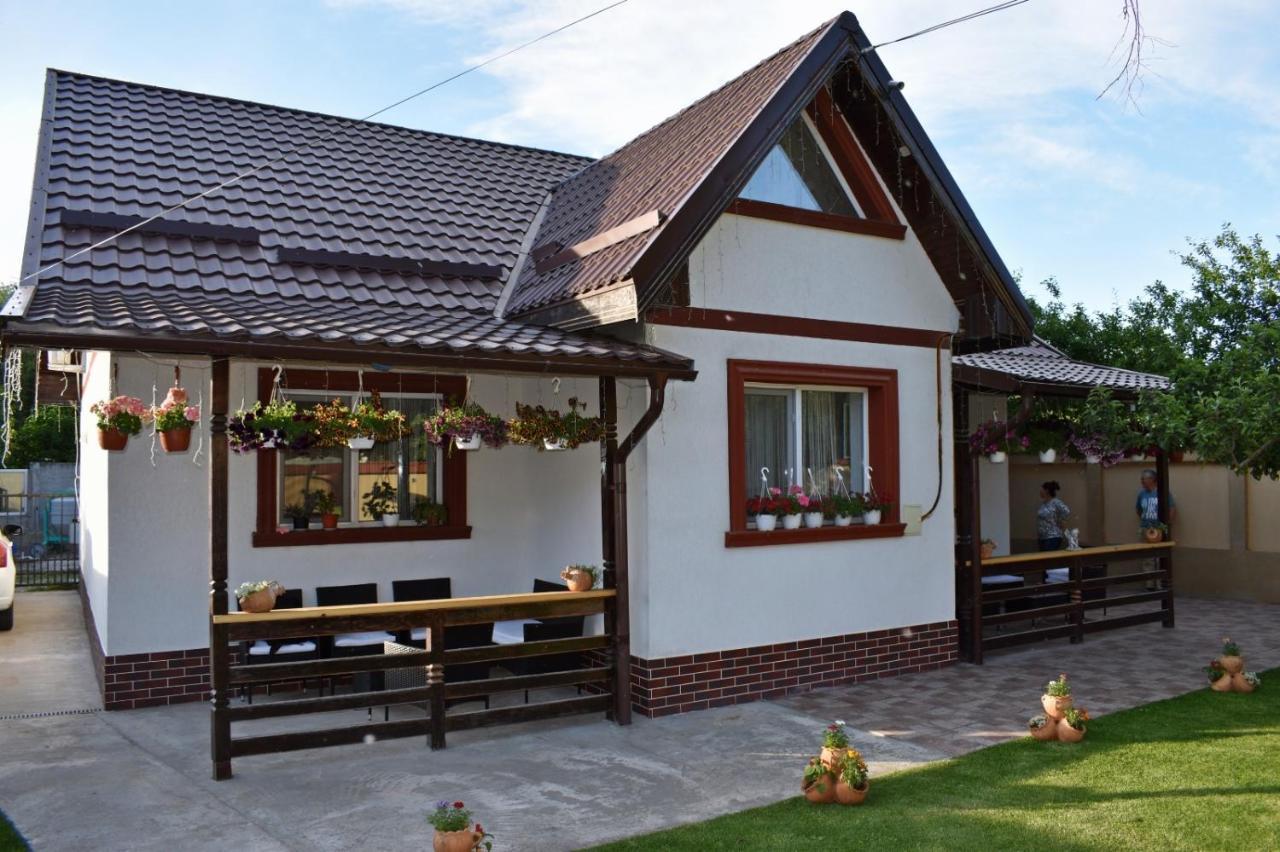 Casa De Vacanta Dalia Si Crina Babadag Buitenkant foto