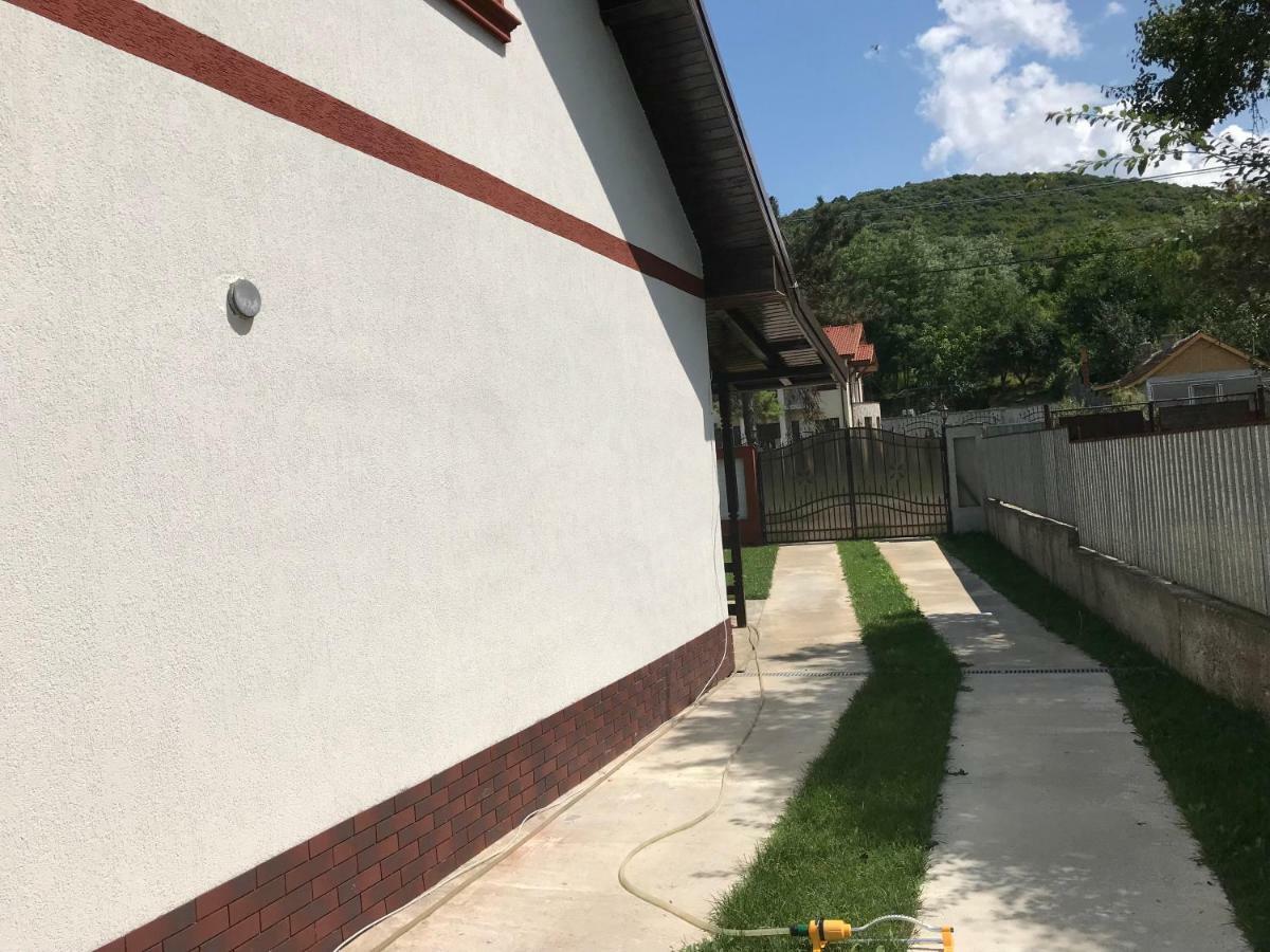 Casa De Vacanta Dalia Si Crina Babadag Buitenkant foto
